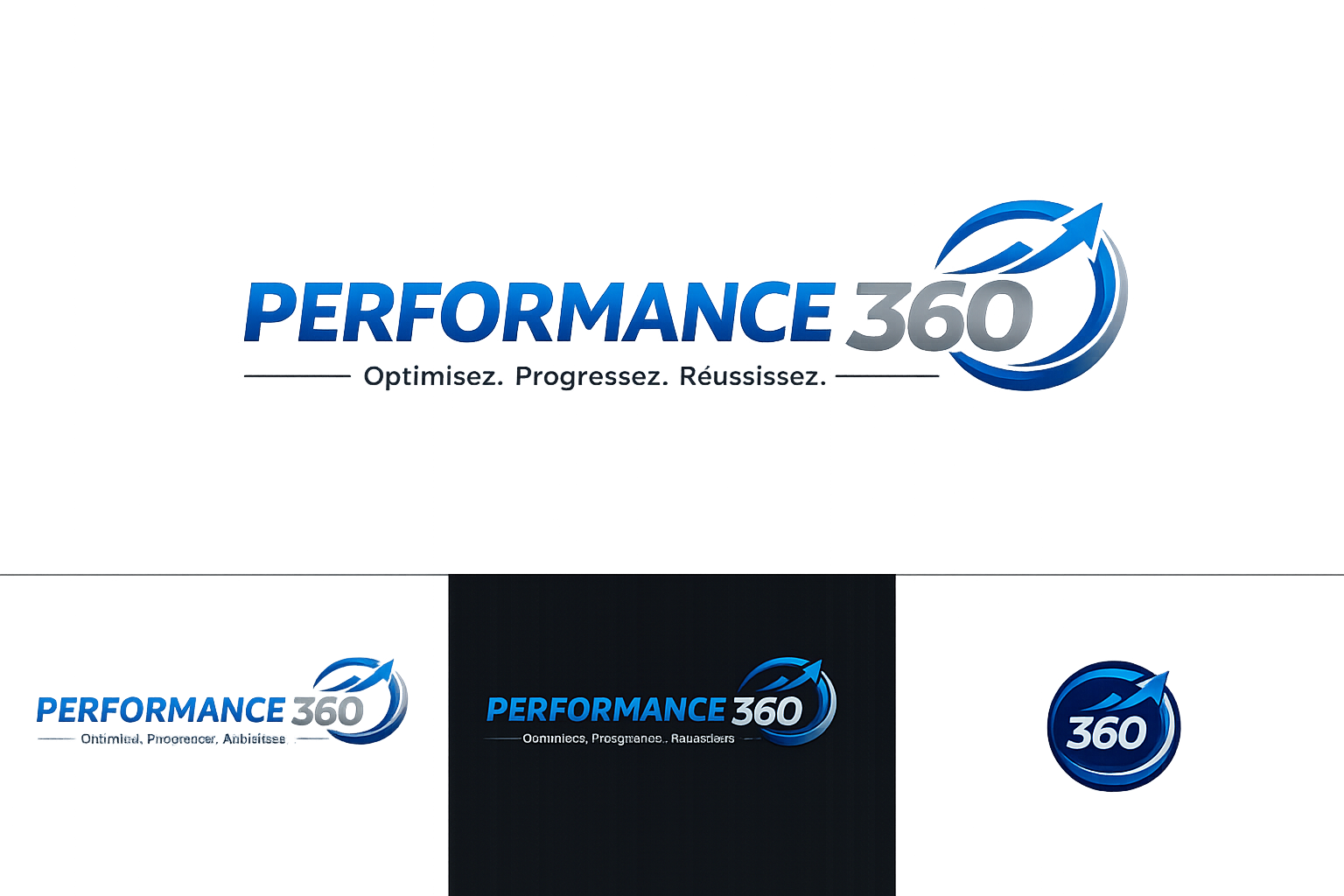 Logo PERFORMANCE 360